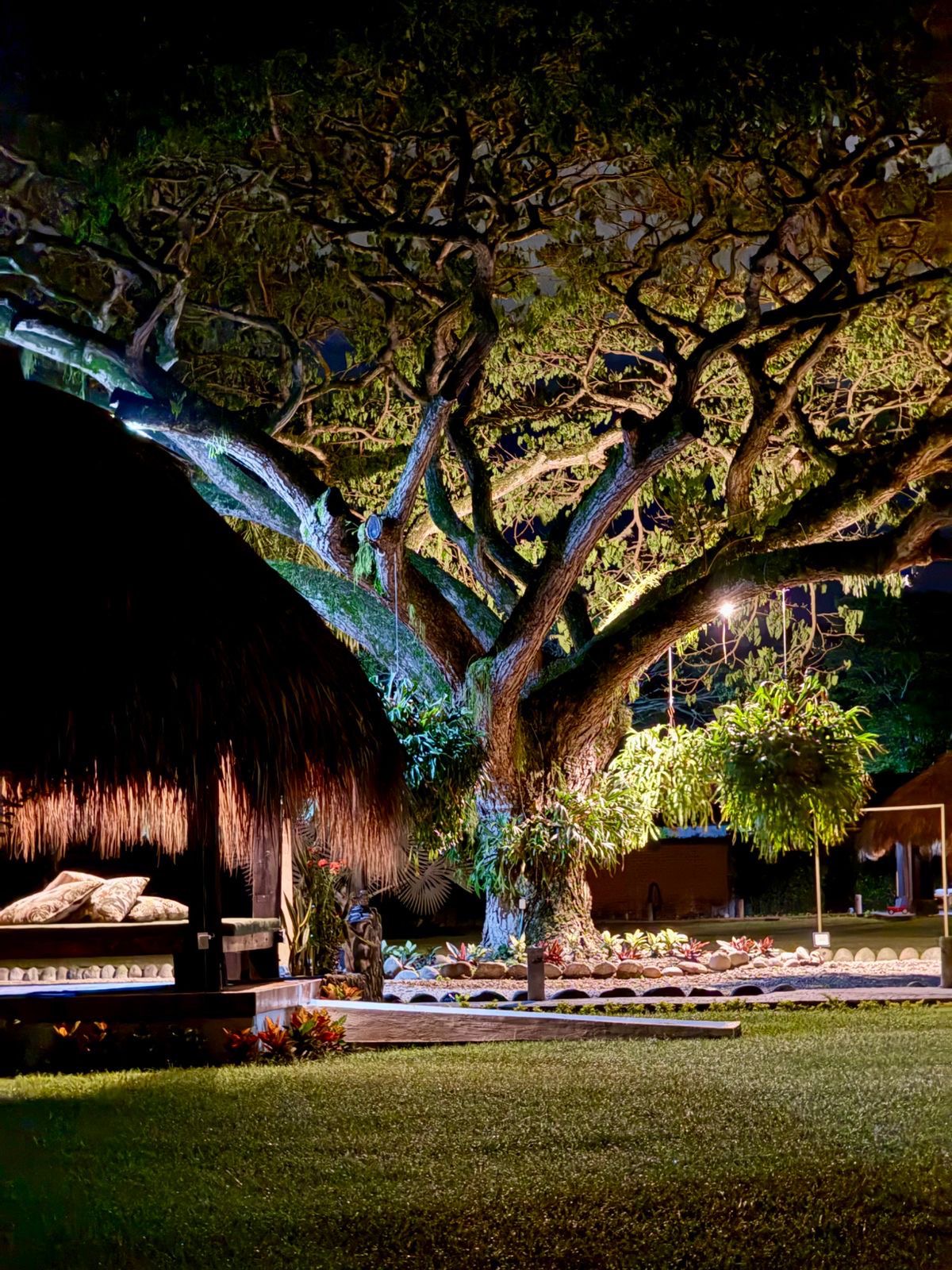 Árbol monumental iluminado de noche